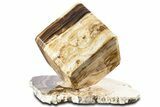 Swirling Polished Chocolate Calcite Cube With Base #342380-1